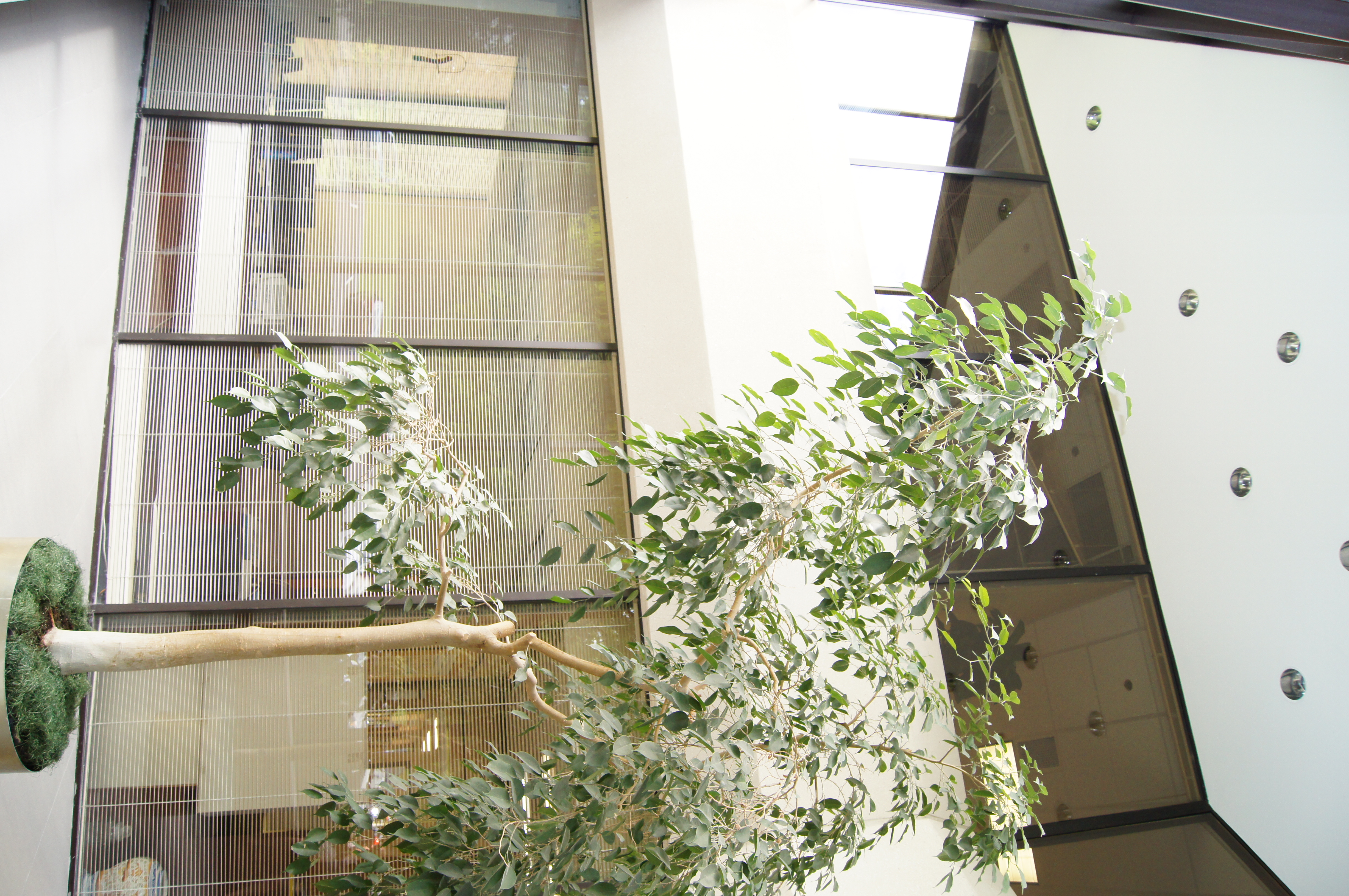 Building lobby atrium with skylight